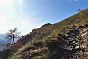 MONTE MINCUCCO (croce 1832 m - cima 2001 m) ad anello dal piano del Lago di Valmora il 17 ottobre 2019 - FOTOGALLERY